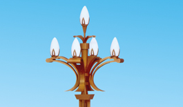 新聞：城市為何更愛(ài)玉蘭燈？