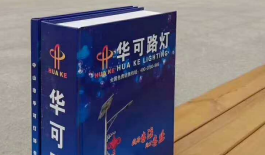 太陽(yáng)能路燈生產(chǎn)廠(chǎng)家,太陽(yáng)能庭院燈